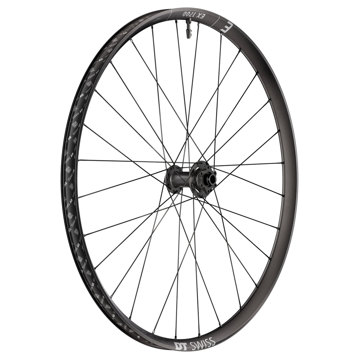 DT Swiss EX 1700 Classic 29" Wheels