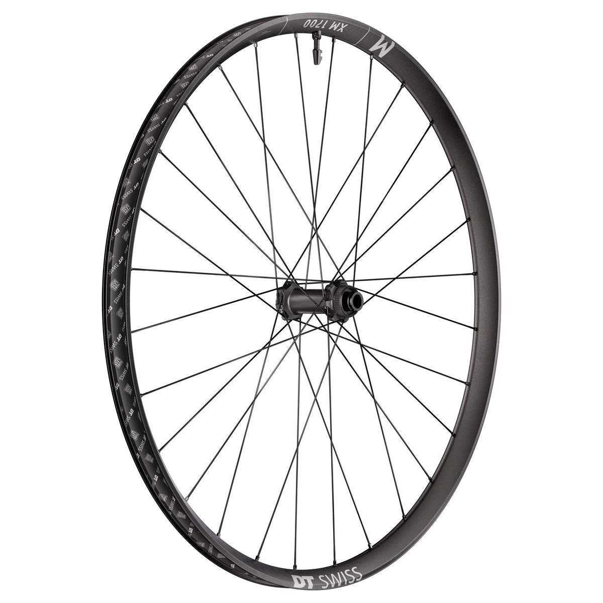 DT Swiss XM 1700 Spline 29" Wheels