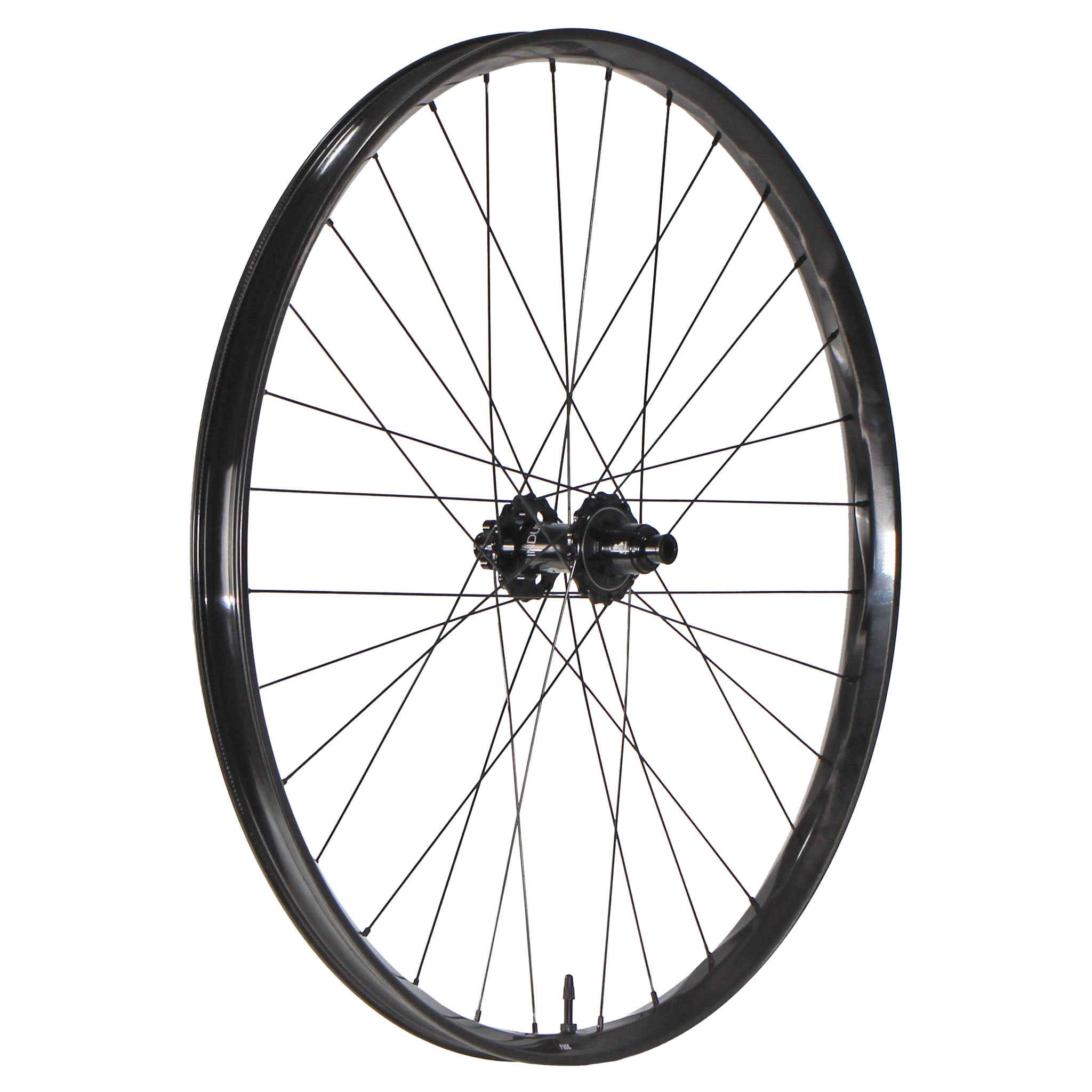 We Are One Fuse 29" Rear Wheel, 12x157, XD, Black-0