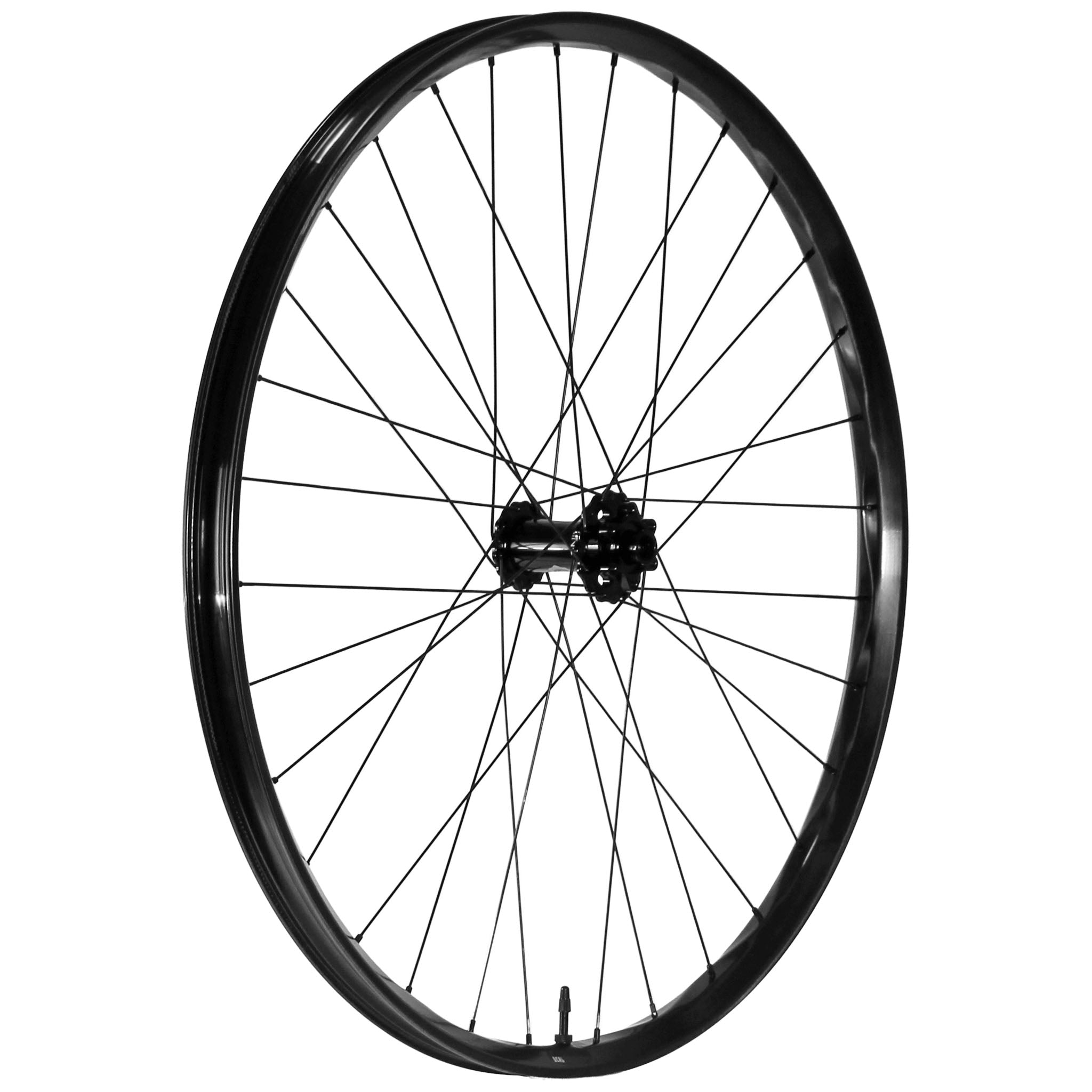 We Are One Deal 29" Front Wheel, 15x110, Black-0