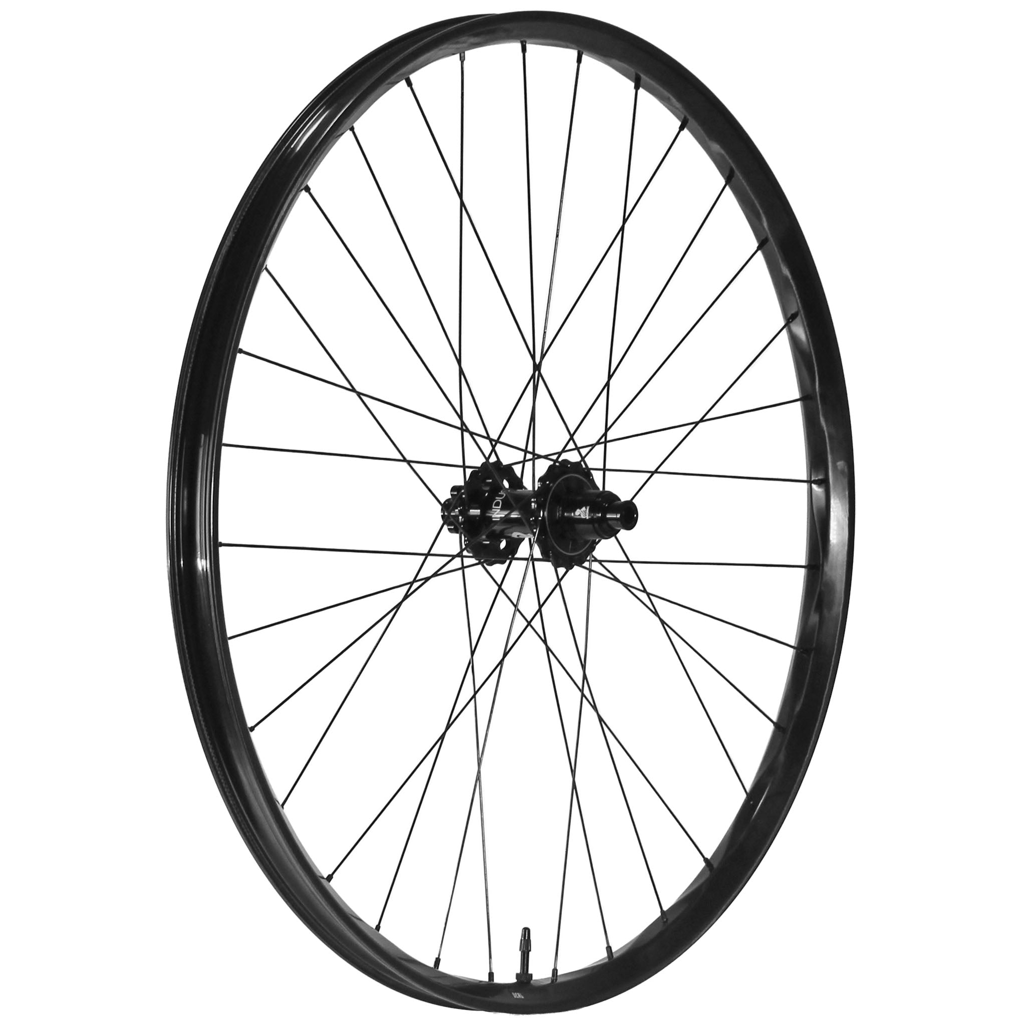 We Are One Deal 29" Rear Wheel, 12x157, XD, Black-0