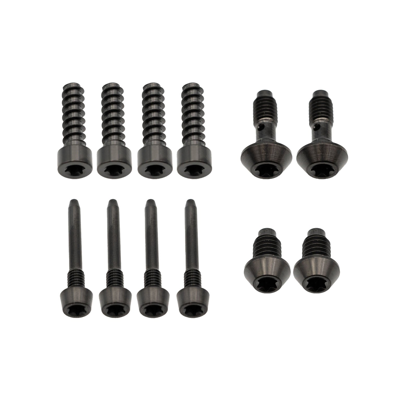 Better Bolts Magura MT Ti Bolt Kit
